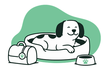 Dog boarding at a sitter's home in Belgrade